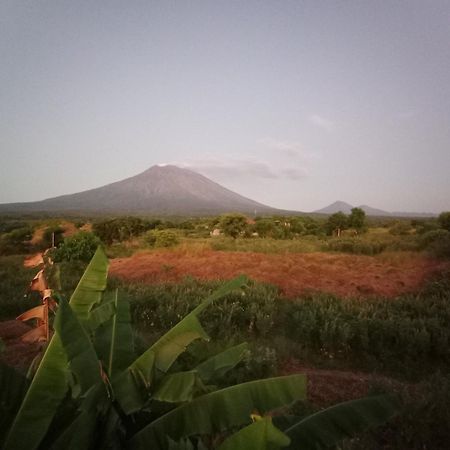 Khrisna Sunrise Homestay Tulamben Стая снимка