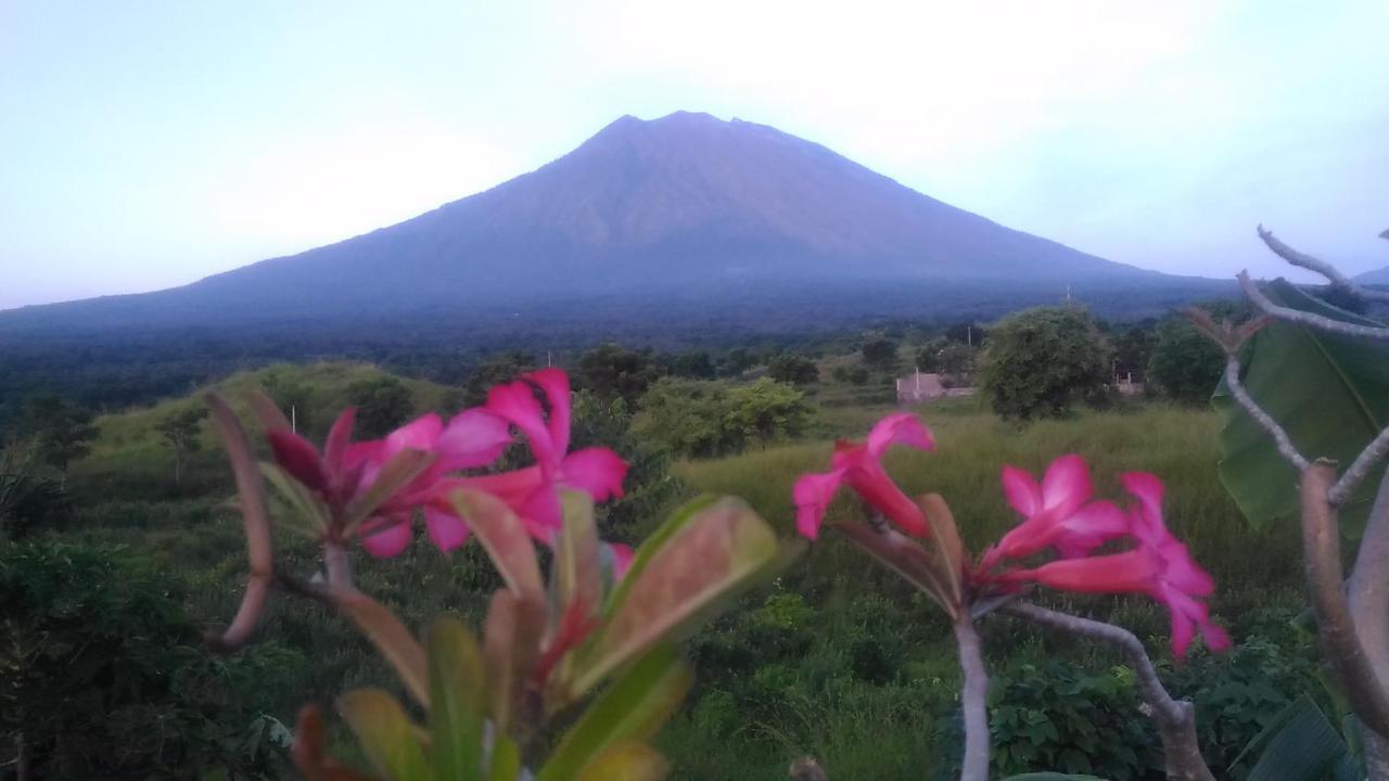 Khrisna Sunrise Homestay Tulamben Екстериор снимка